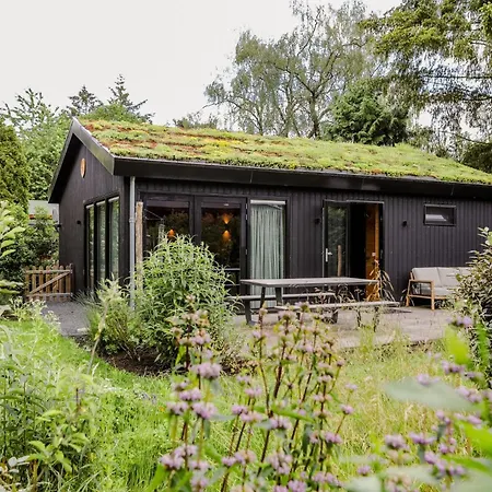 別荘 Boshuisje Met Sauna En Privacy Op De Veluwe Vp001