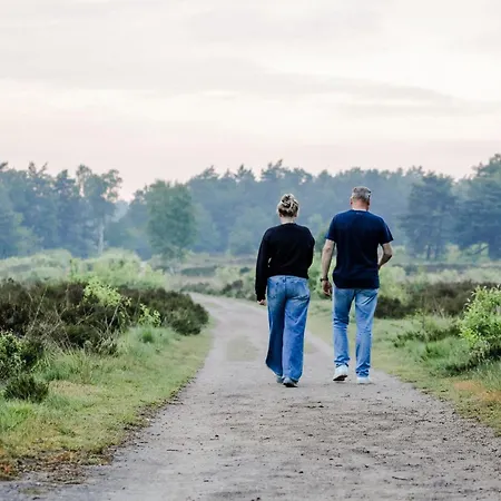 Boshuisje Met Sauna En Privacy Op De Veluwe Vp001 * プッテン