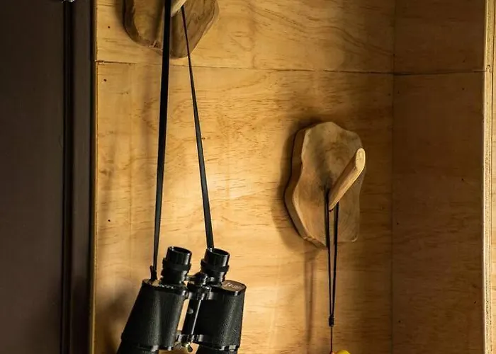 Geweldig Natuurhuisje Met Sauna Bij Veluwe Vp001 Feriehus Putten