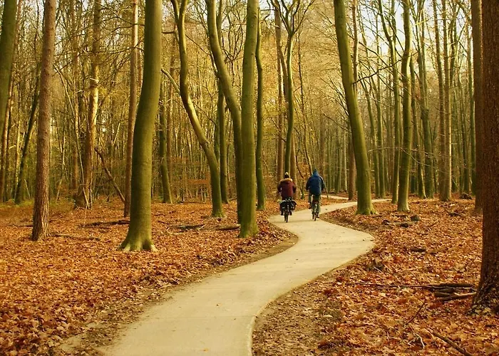 Geweldig Natuurhuisje Met Sauna Bij Veluwe Vp001