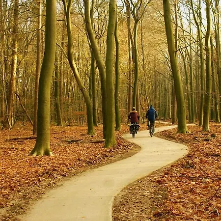 Geweldig Natuurhuisje Op De Veluwe Met Sauna En Tuin Vp001